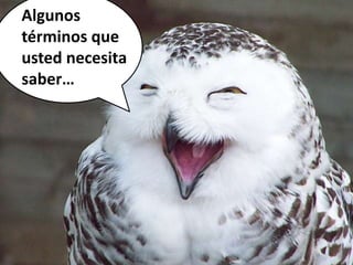 Algunos
términos que
usted necesita
saber…
 