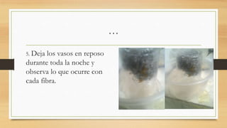 …
5. Deja los vasos en reposo
durante toda la noche y
observa lo que ocurre con
cada fibra.
 