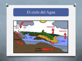 El ciclo del Agua
 