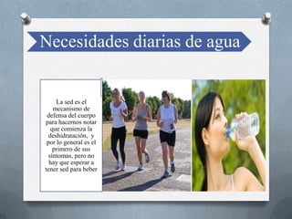 Necesidades diarias de agua
La sed es el
mecanismo de
defensa del cuerpo
para hacernos notar
que comienza la
deshidratación, y
por lo general es el
primero de sus
síntomas, pero no
hay que esperar a
tener sed para beber
 