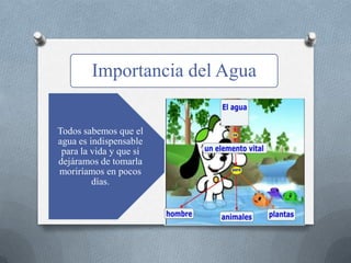 Importancia del Agua
Todos sabemos que el
agua es indispensable
para la vida y que si
dejáramos de tomarla
moriríamos en pocos
días.
 