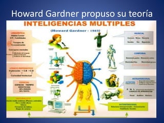 Howard Gardner propuso su teoría
 