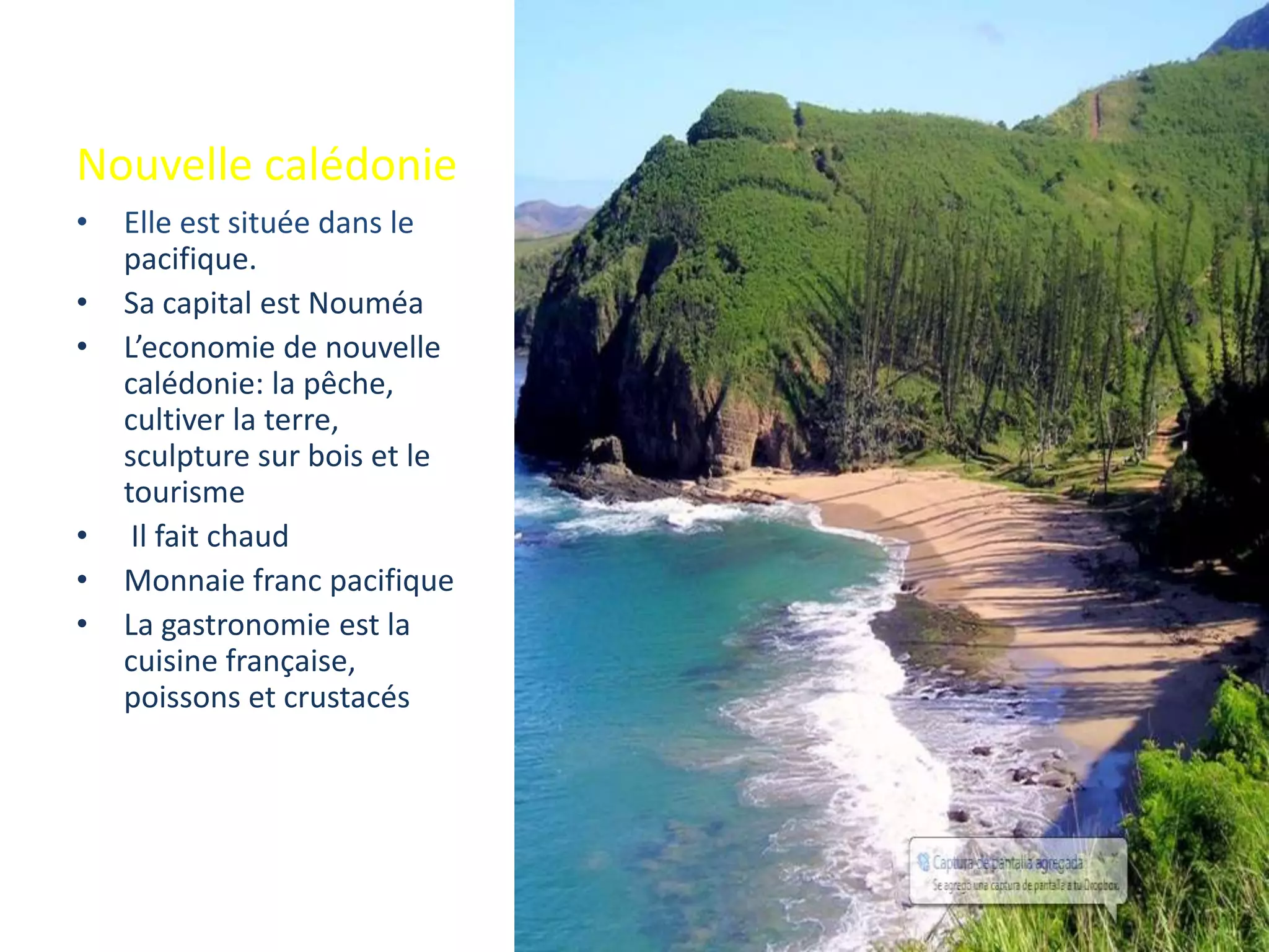 Nouvelle calédonie
• Elle est située dans le
pacifique.
• Sa capital est Nouméa
• L’economie de nouvelle
calédonie: la pêche,
cultiver la terre,
sculpture sur bois et le
tourisme
• Il fait chaud
• Monnaie franc pacifique
• La gastronomie est la
cuisine française,
poissons et crustacés