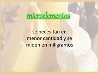 microelementos
se necesitan en
menor cantidad y se
miden en miligramos
 