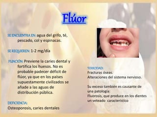 Flúor
SEENCUENTRAEN: agua del grifo, té,
pescado, col y espinacas.
SEREQUIEREN: 1-2 mg/día
FUNCIÓN: Previene la caries dental y
fortifica los huesos. No es
probable padecer déficit de
flúor, ya que en los países
supuestamente civilizados se
añade a las aguas de
distribución pública.
DEFICIENCIA:
Osteoporosis, caries dentales
TOXICIDAD:
Fracturas óseas.
Alteraciones del sistema nervioso.
Su exceso también es causante de
una patología:
Fluorosis, que produce en los dientes
un veteado característico
 