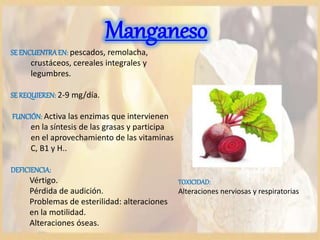 Manganeso
SEENCUENTRAEN: pescados, remolacha,
crustáceos, cereales integrales y
legumbres.
SEREQUIEREN: 2-9 mg/día.
FUNCIÓN: Activa las enzimas que intervienen
en la síntesis de las grasas y participa
en el aprovechamiento de las vitaminas
C, B1 y H..
DEFICIENCIA:
Vértigo.
Pérdida de audición.
Problemas de esterilidad: alteraciones
en la motilidad.
Alteraciones óseas.
TOXICIDAD:
Alteraciones nerviosas y respiratorias
 