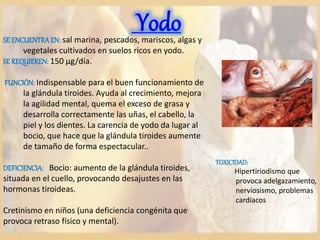 YodoSEENCUENTRAEN: sal marina, pescados, mariscos, algas y
vegetales cultivados en suelos ricos en yodo.
SEREQUIEREN: 150 µg/día.
FUNCIÓN: Indispensable para el buen funcionamiento de
la glándula tiroides. Ayuda al crecimiento, mejora
la agilidad mental, quema el exceso de grasa y
desarrolla correctamente las uñas, el cabello, la
piel y los dientes. La carencia de yodo da lugar al
bocio, que hace que la glándula tiroides aumente
de tamaño de forma espectacular..
DEFICIENCIA: Bocio: aumento de la glándula tiroides,
situada en el cuello, provocando desajustes en las
hormonas tiroideas.
Cretinismo en niños (una deficiencia congénita que
provoca retraso físico y mental).
TOXICIDAD:
Hipertiriodismo que
provoca adelgazamiento,
nerviosismo, problemas
cardíacos
 