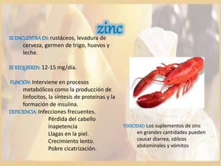 zinc
TOXICIDAD: Los suplementos de zinc
en grandes cantidades pueden
causar diarrea, cólicos
abdominales y vómitos
SEENCUENTRAEN: rustáceos, levadura de
cerveza, germen de trigo, huevos y
leche.
SEREQUIEREN: 12-15 mg/día.
FUNCIÓN: Interviene en procesos
metabólicos como la producción de
linfocitos, la síntesis de proteínas y la
formación de insulina.
DEFICIENCIA: Infecciones frecuentes.
Pérdida del cabello
inapetencia
Llagas en la piel.
Crecimiento lento.
Pobre cicatrización.
 