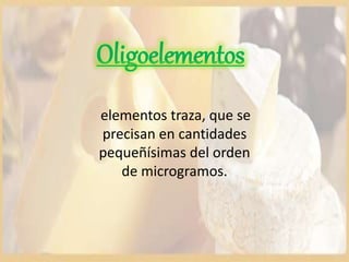 Oligoelementos
elementos traza, que se
precisan en cantidades
pequeñísimas del orden
de microgramos.
 