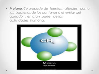 • Metano.-Se procede de fuentes naturales como
las bacterias de los pantanos o el rumiar del
ganado y en gran parte de las
actividades humana.
 