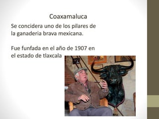 Coaxamaluca
Se concidera uno de los pilares de
la ganaderia brava mexicana.
Fue funfada en el año de 1907 en
el estado de tlaxcala
 