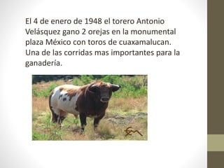 El 4 de enero de 1948 el torero Antonio
Velásquez gano 2 orejas en la monumental
plaza México con toros de cuaxamalucan.
Una de las corridas mas importantes para la
ganadería.
 