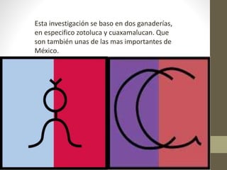 Esta investigación se baso en dos ganaderías,
en especifico zotoluca y cuaxamalucan. Que
son también unas de las mas importantes de
México.
 