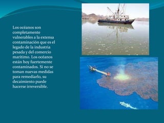 Los océanos son
completamente
vulnerables a la extensa
contaminación que es el
legado de la industria
pesada y del comercio
marítimo. Los océanos
están hoy fuertemente
contaminados. Si no se
toman nuevas medidas
para remediarlo, su
decaimiento puede
hacerse irreversible.
 