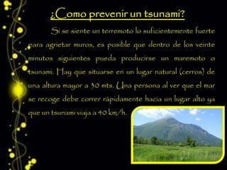 Si se siente un terremoto lo suficientemente fuerte
para agrietar muros, es posible que dentro de los veinte
minutos siguientes pueda producirse un maremoto o
tsunami. Hay que situarse en un lugar natural (cerros) de
una altura mayor a 30 mts. Una persona al ver que el mar
se recoge debe correr rápidamente hacia un lugar alto ya
que un tsunami viaja a 40 km/h.
 