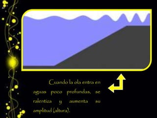 Cuando la ola entra en
aguas poco profundas, se
ralentiza y aumenta su
amplitud (altura).
 