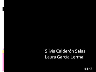 Base de datos ii
Silvia Calderón Salas
Laura García Lerma
11-2
 