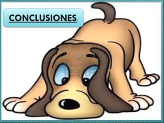 CONCLUSIONES
 