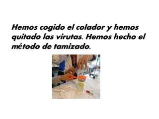 Hemos cogido el colador y hemos
quitado las virutas. Hemos hecho el
método de tamizado.
 