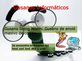 Gusanos Informáticos
Gusano Sobig Worm: Gusano de envió
masivo de correo.
Se encuentra en ficheros: txt,
html, eml, hml, dbx y wab.
 