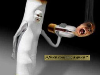 ¿Quien consume a quien ?