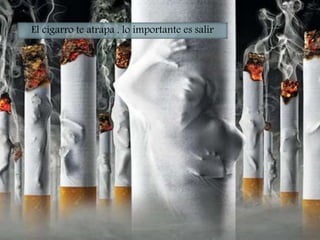 El cigarro te atrapa , lo importante es salir