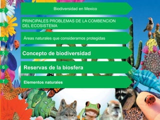 5
7
6
2
4
Biodiversidad en Mexico
3
PRINCIPALES PROBLEMAS DE LA COMBENCION DEL
ECOSISTEMA
PRINCIPALES PROBLEMAS DE LA COMBENCION
DEL ECOSISTEMA
Áreas naturales que consideramos protegidas
Concepto de biodiversidad
Reservas de la biosfera
Elementos naturales
 