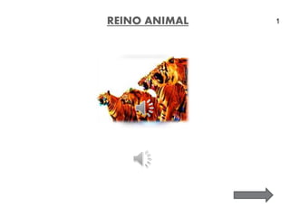 REINO ANIMAL 1
 