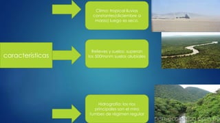 características
Clima: tropical lluvias
constantes(diciembre a
marzo) luego es seco.
Relieves y suelos: superan
los 500msnm suelos alubiales
Hidrografía: los ríos
principales son el mira
tumbes de régimen regular
 