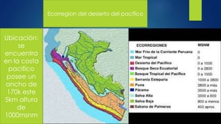 Ecorregion del desierto del pacifico
Ubicación:
se
encuentra
en la costa
pacifico
posee un
ancho de
170k este
5km altura
de
1000msnm
 