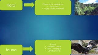 flora
fauna
Posee poca vejetacion
• ríos, carrizo
• Lagos ,valles, totorales
Fauna
• Desierto, zorros
• Ríos, cangrejos
• Lomas, pumas
 