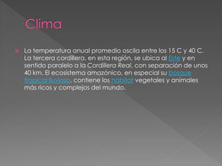  La temperatura anual promedio oscila entre los 15 C y 40 C.
La tercera cordillera, en esta región, se ubica al Este y en
sentido paralelo a la Cordillera Real, con separación de unos
40 km. El ecosistema amazónico, en especial su bosque
tropical lluvioso, contiene los hábitat vegetales y animales
más ricos y complejos del mundo.
 