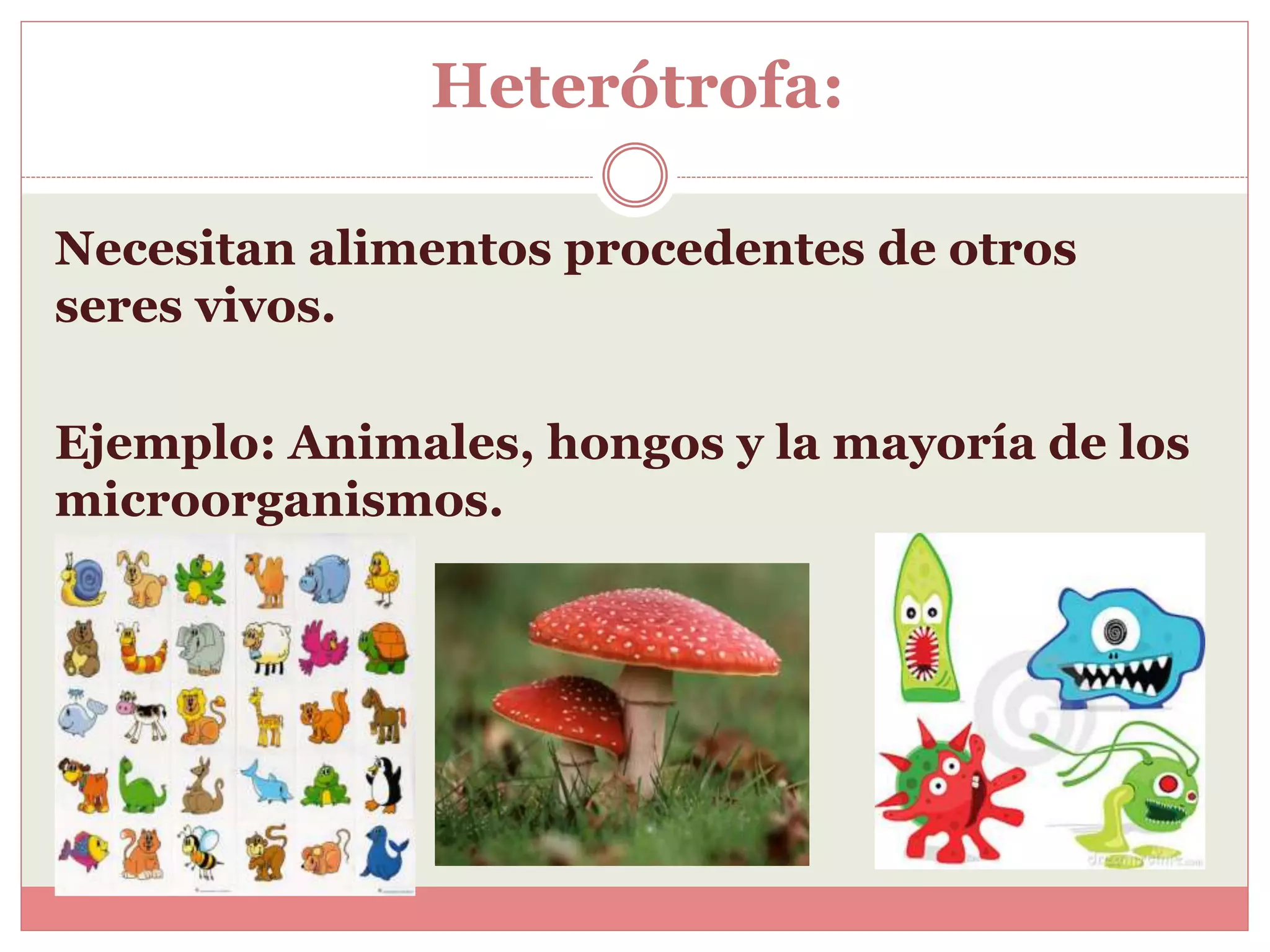 clasificación de seres vivos | PPTX