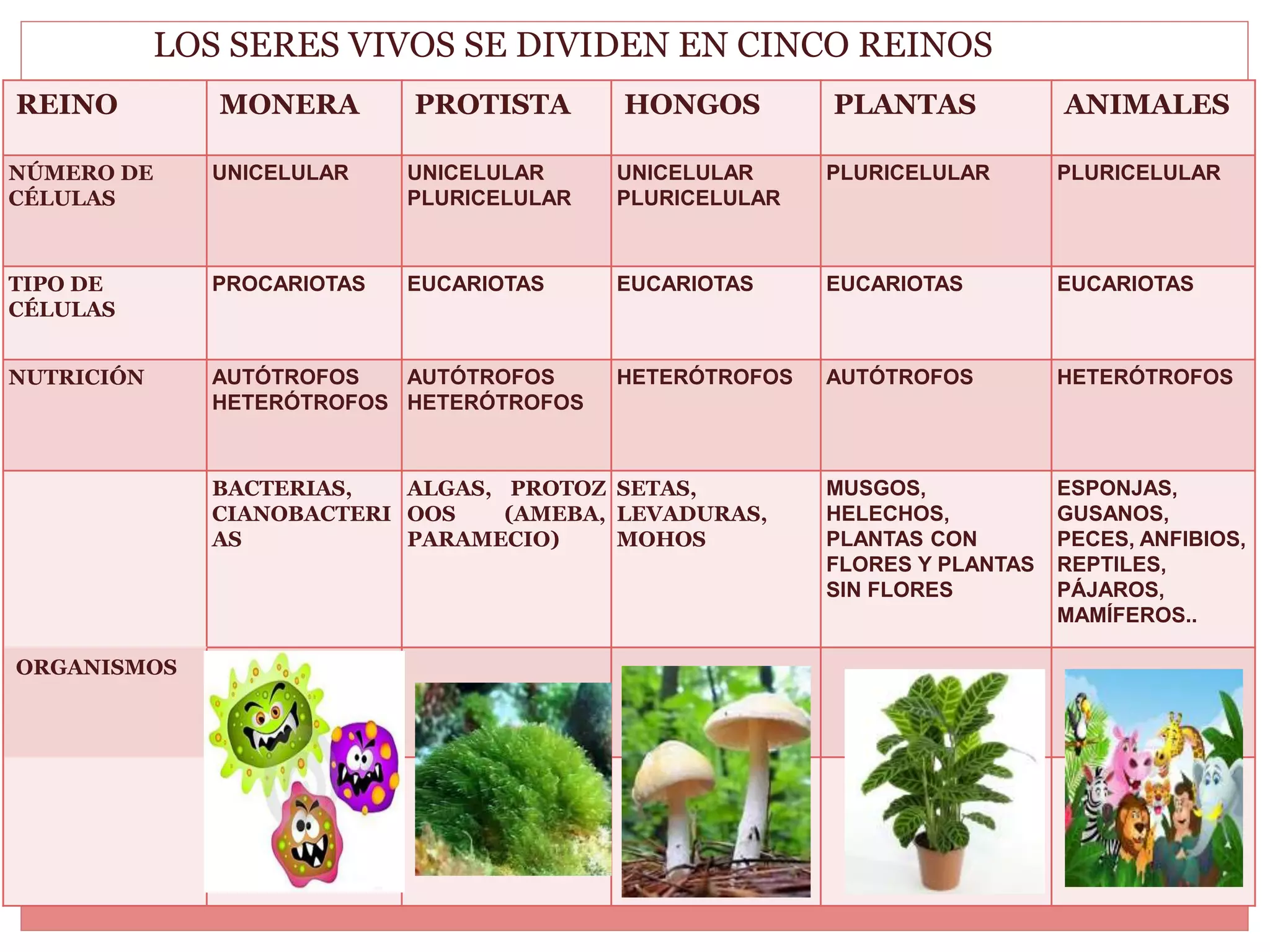 clasificación de seres vivos | PPTX