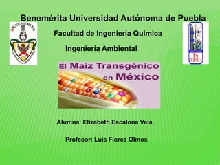Alumna: Elizabeth Escalona Vela
Benemérita Universidad Autónoma de Puebla
Facultad de Ingeniería Química
Ingeniería Ambiental
Profesor: Luis Flores Olmos
 