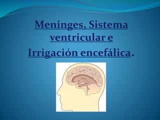 Meninges, Sistema
ventricular e
Irrigación encefálica.
 