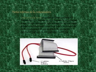 CABLE DE BUS DE DATOS: un grupo de cables (en realidad
trazos sobre una placa de circuito impreso) transporta los
datos, otro las direcciones (ubicaciones) en las que puede
encontrarse información específica, y otro las señales de
control para asegurar que las diferentes partes del
sistema utilizan su ruta compartida sin conflictos.
Partes internasde la computadora
 
