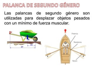 TIPOS DE PALANCAS | PPTX