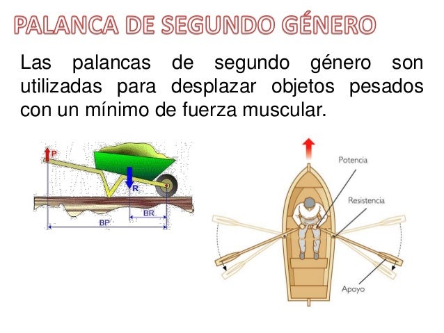 TIPOS DE PALANCAS