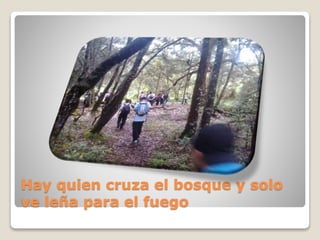 Hay quien cruza el bosque y solo
ve leña para el fuego
 
