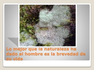 Lo mejor que la naturaleza ha
dado al hombre es la brevedad de
su vida
 