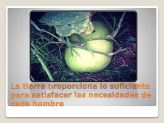 La tierra proporciona lo suficiente
para satisfacer las necesidades de
cada hombre
 