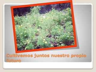 Cultivemos juntos nuestro propio
futuro
 