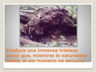 Produce una inmensa tristeza
saber que, mientras la naturaleza
habla, el ser humano no escucha
 