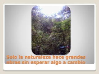 Solo la naturaleza hace grandes
obras sin esperar algo a cambio
 