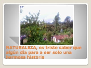 NATURALEZA, es triste saber que
algún día para a ser solo una
hermosa historia
 