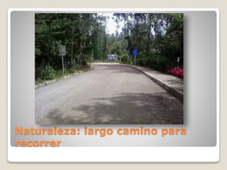 Naturaleza: largo camino para
recorrer
 