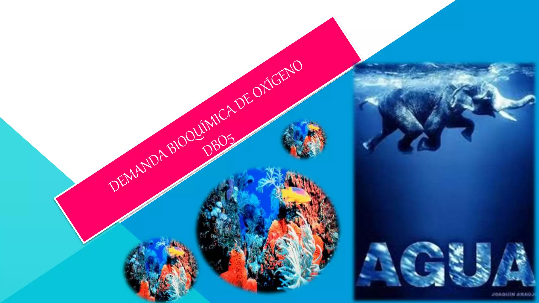 Demanda Bioquímica de oxígeno (DBO5) | PPTX