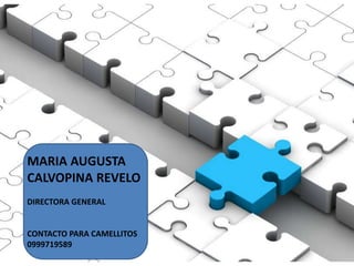 MARIA AUGUSTA
CALVOPINA REVELO
DIRECTORA GENERAL
CONTACTO PARA CAMELLITOS
0999719589
 
