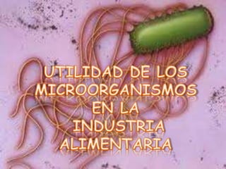 Utilidad de los microorganismos en la industria alimentaria | PPTX